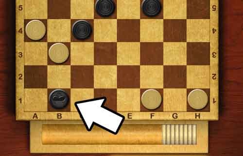 Checkers King