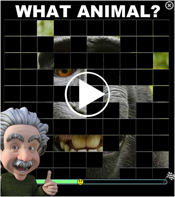 ANIMAL IMAGE QUIZ